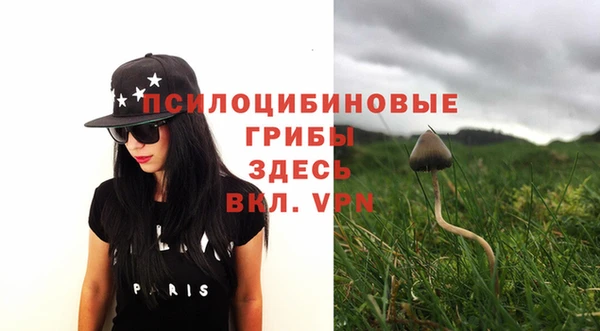 а пвп мука Богданович