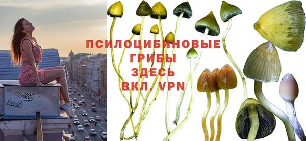а пвп мука Богданович