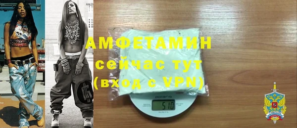 молекула духа Богородск