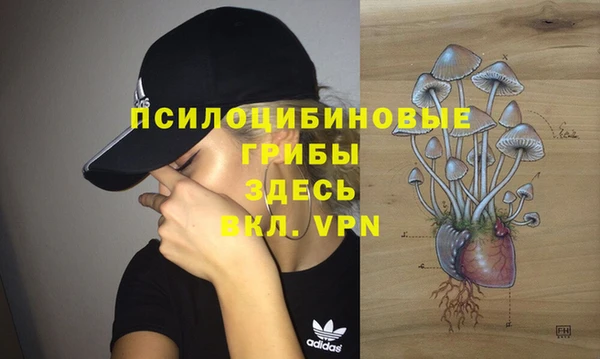 молекула духа Богородск