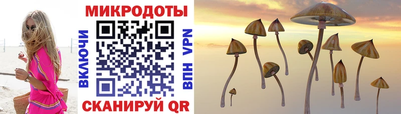 что такое наркотик  Конаково  это клад  Псилоцибиновые грибы Psilocybine cubensis 